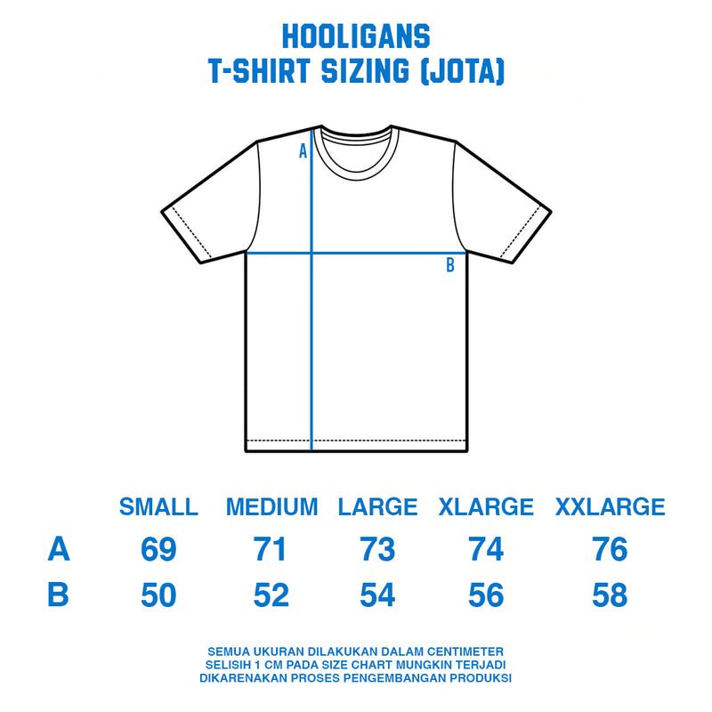 HOOLIGANS T-Shirt Jota EAZY 195 - Smoke Gray